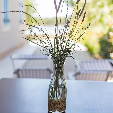 Moderne Mit Terrasse Nah Am Apartamento